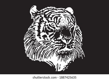Retrato gráfico del tigre sobre fondo negro, ilustración vectorial grabada