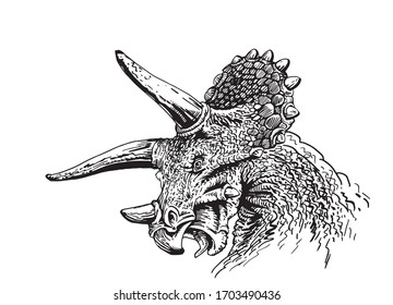 Graphical portrait of triceratops dinosaur isolated on white, vector illustration