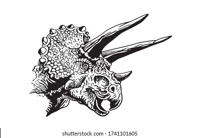 Grafisches Portrait von Triceratops isoliert auf weißem Hintergrund, Vektorgrafik, Dinosaurier