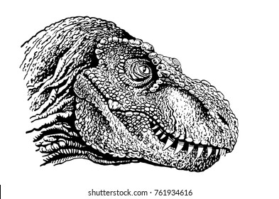 Graphical portrait of tyrannosaur isolated on white background,vector illustration