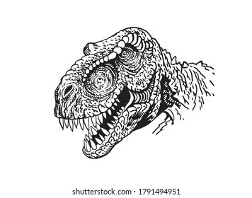 Graphical portrait of  tyrannosaurus isolated on white background,vector 