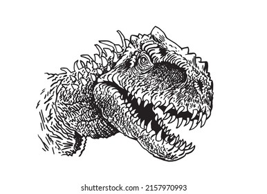 Graphical portrait of tyrannosaurus isolated on white, vector illustration