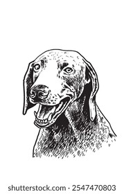 Retrato gráfico del perro de Weimaraner en el fondo blanco, Ilustración vectorial