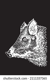 Graphical portrait of wild hog pig isolated on black,boar illustration