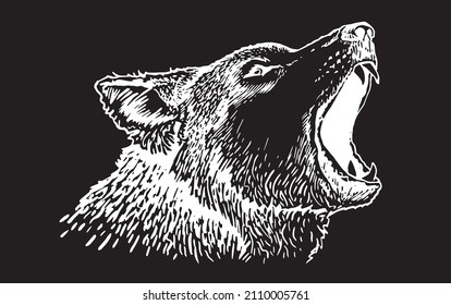 Graphical portrait of wolf on black background,vector illustration