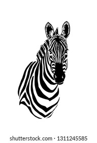 Graphical portrait of zebra isolated on white ,vector sketch for tattoo and printing