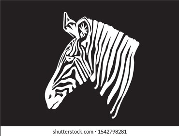 Graphical portrait of zebra isolated on black background,vector engraved illustration