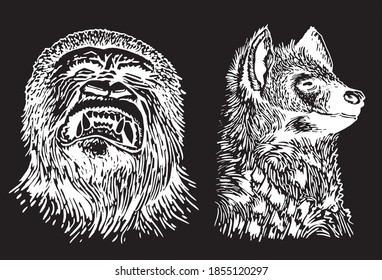 Graphical portraits of gorilla and hyena isolated on white background, vector