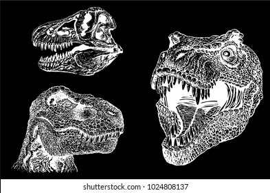 graphical portraits of tyrannosaur and skull isolated on black background, vector illustration