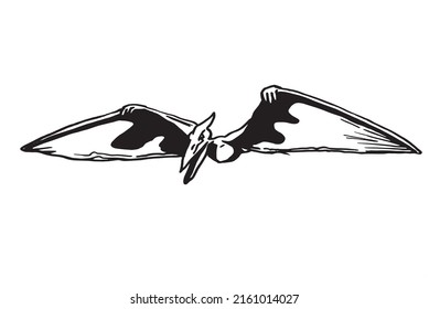 Graphical pterodactyl dinosaur isolated on white,vector illustartion. Herbivorous dinosaur with wings