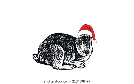 Graphical rabbit in Santa Claus hat isolated on white,symbol of 2023 year,Christmas design vector element