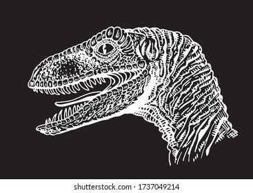 Graphical raptor isolated on black background, vector engraved illustration, dinosaur