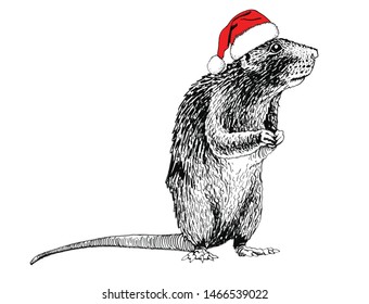 Graphical rat in Santa Claus hat isolated on white,vector new year illustration