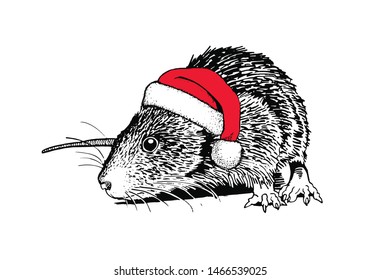 Graphical rat in Santa Claus hat isolated on white,vector new year illustration
