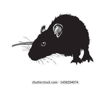 Graphical  rat silhouette isolated on white,vector illustration,rodent