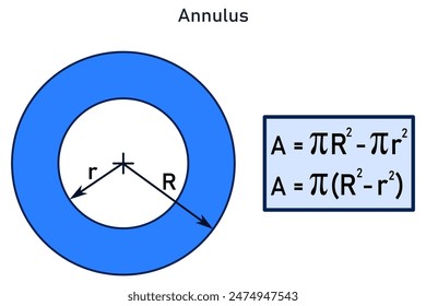 Graphical representation of an annulus and the equation for calculating the area of ​​an annulus