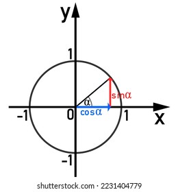 Graphical representation of the sine and cosine functions on the unit circle