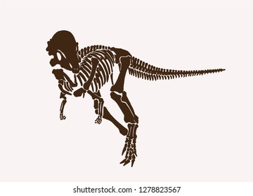 Graphical retro sketch of dinosaur skeleton. vector illustration
