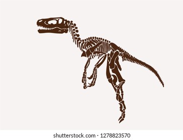 Graphical retro sketch of dinosaur skeleton. vector illustration