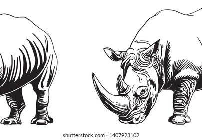 Graphical rhino isolated on white,vector doodle illustration,tattoo and coloring book design
