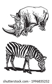 Graphical rhino and zebra,African animals isolated
