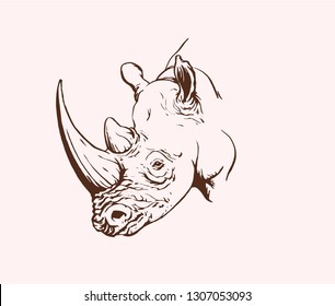 Graphical rhino,vintage doodle illustration,vector sketch