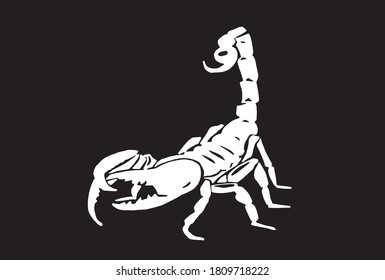 Graphical scorpion isolated on black background, vector illustration