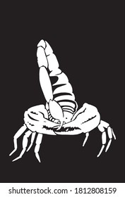 Graphical scorpion isolated on black background , vector engraved illustration,insect