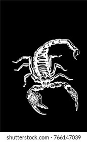 Graphical scorpion isolated on black background,vector illustration for tattoo and printing