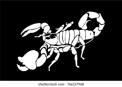 Graphical scorpion isolated on black background,vector illustration for tattoo and printing