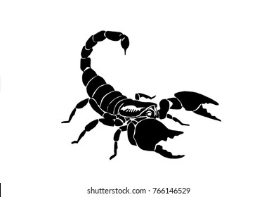 Graphical scorpion isolated on white background,vector illustration for tattoo and printing