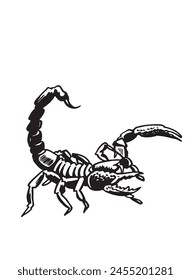 Graphical scorpion on white background, black and white illustration, tattoo design