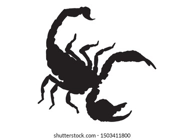 Graphical scorpion silhouette isolated on white background, vector illustration