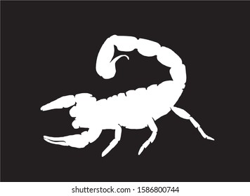 Graphical scorpion silhouette isolated on black background,vector illustration, sea-food