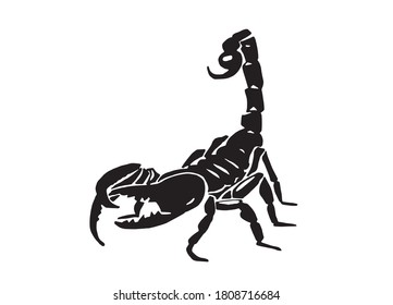 Graphical scorpion, silhouette for tattoo and design,vector illustration