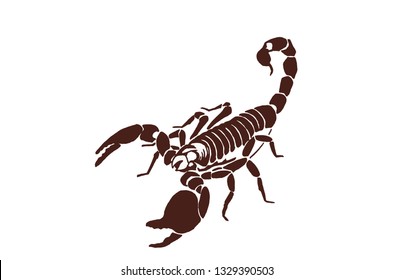 Graphical scorpion, vintage illustration,retro sketch