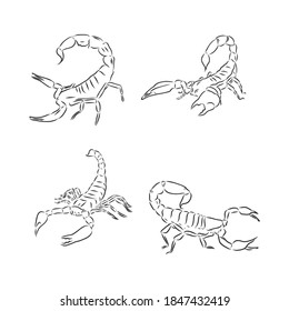 Graphical scorpions isolated on white background,vector illustration for tattoo and printing Scorpion animal vector sketch illustration