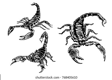 Graphical scorpions isolated on white background,vector illustration for tattoo and printing svg