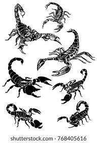 Graphical scorpions isolated on white background,vector illustration for tattoo and printing