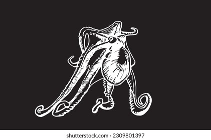 Graphical seafood illustration, vector octopus isolated on black. Underwater habitant, delicatessen