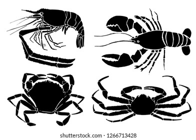 Graphical sea-food set isolated on white background, vector illustration