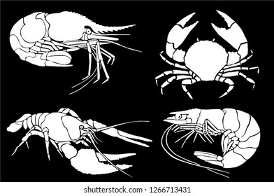Graphical sea-food set isolated on black background, vector illustration