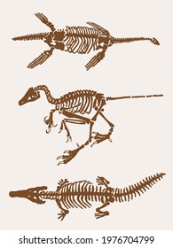 Graphical sepia set of dinosaur skeletons, vintage illustration