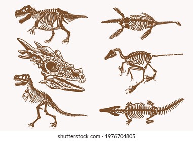 Graphical sepia set of dinosaur skeletons, vintage illustration