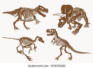Graphical sepia set of dinosaur skeletons, vintage illustration