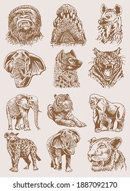Graphical sepia set of wild African animals, illustration