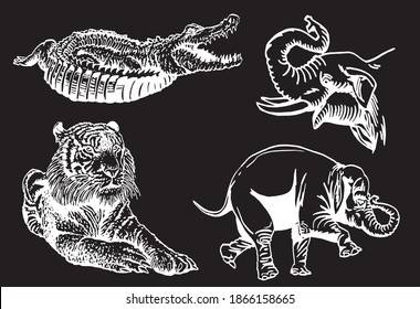 Graphical set of African animals isolated on black, vector illustration