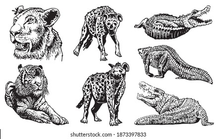 Graphical set of African animals isolated on white background, vector elements, wildlife