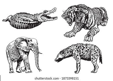 Graphical set of African animals isolated on white background, vector elements, wildlife