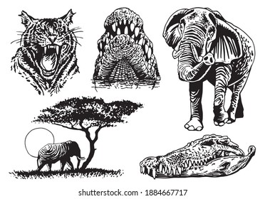 Graphical set of African animals isolated on white background, vector elements